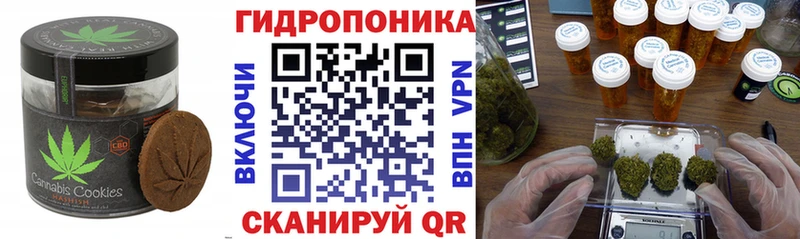 Cannafood марихуана  Новотитаровская 