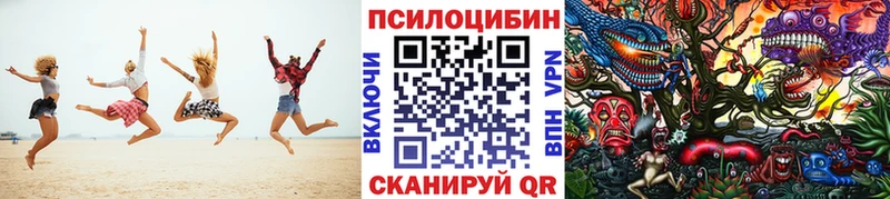 Галлюциногенные грибы Psilocybine cubensis  Новотитаровская 